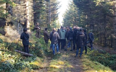 TreProx workshop in Iceland