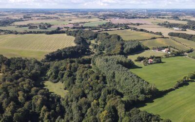 First day of the workshop: Poplar plantations and certification schemes